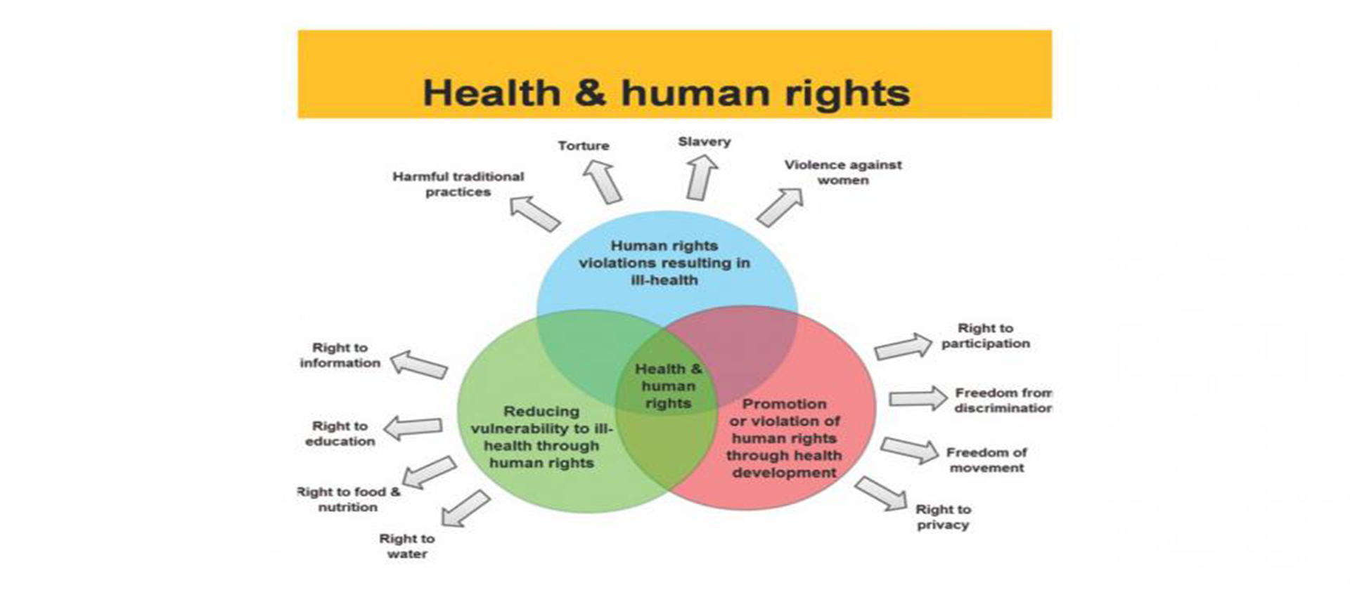 5o ΘΕΡΙΝΟ ΣΧΟΛΕΙΟ 2020 HUMAN RIGHTS IN HEALTH